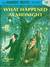 What Happened at Midnight by Franklin W. Dixon