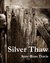 Silver Thaw by Amy Rose Davis