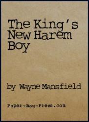 the-king-s-new-harem-boy
