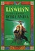 Il leone d'Irlanda  by Morgan Llywelyn