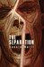 The Separation by Ronald Malfi