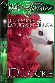ermine-bougainvillea