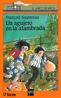 un-agujero-en-la-alambrada