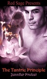 The Tantric Principle cover