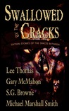 Swallowed by the Cracks cover