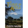 A Tourist in Africa cover