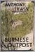 Burmese Outpost by Anthony Irwin