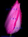 After The Rain cover