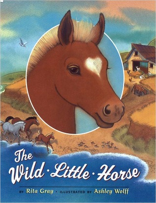 the-wild-little-horse