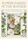 Flower Fairies of the Wayside