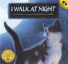 I Walk at Night cover