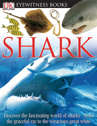 Shark By Miranda Macquitty