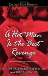 A Hot Man Is the Best Revenge cover