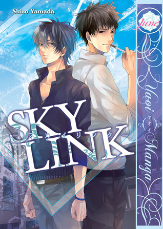 sky-link
