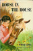 Horse in the House by William Corbin