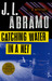 Catching Water in a Net by J.L. Abramo