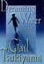 Dreaming Water by Gail Tsukiyama