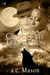 Chocolate Temptation (Wolf-Spirit, #2) by a.c. Mason
