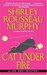 Cat Under Fire (Joe Grey, #2) by Shirley Rousseau Murphy