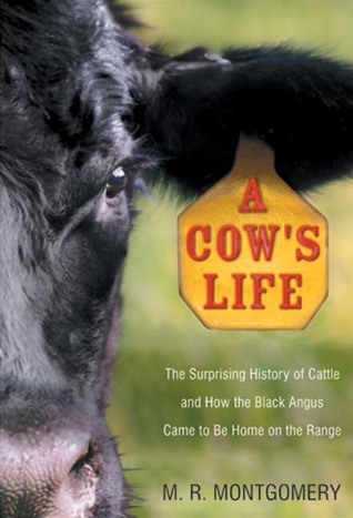 a-cow-s-life-the-surprising-history-of-cattle-and-how-the-black-angus-came-to-be-home-on-the-range