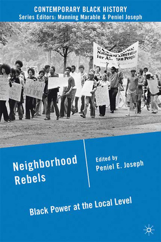 neighborhood-rebels-black-power-at-the-local-level