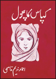 kapas-ka-phool---