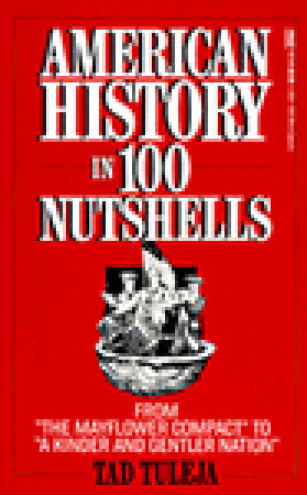 american-history-in-100-nutshells