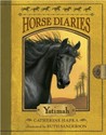 Yatimah (Horse Diaries, #6)
