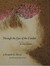 Through The Eyes Of The Condor An Aerial Vision of Latin America by Robert B. Haas