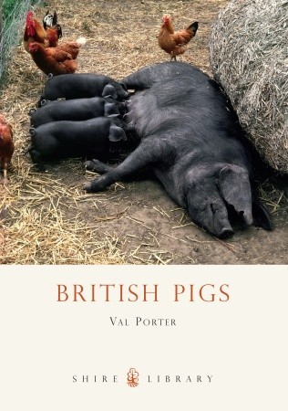 british-pigs