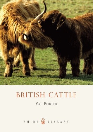 british-cattle
