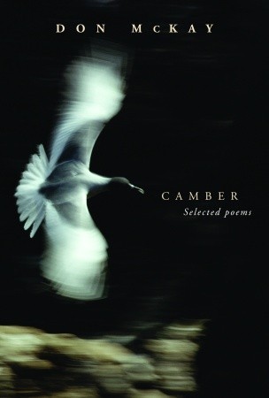 camber