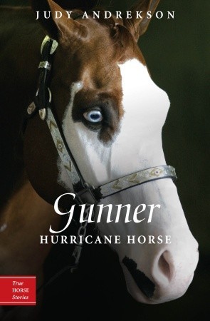 gunner-hurricane-horse