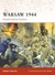 Warsaw 1944: Poland’s bid for freedom