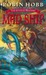 Mad Ship (Liveship Traders, #2) by Robin Hobb