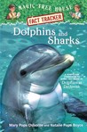 Dolphins and Sharks cover