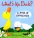 What's Up, Duck? A Book of Opposites by Tad Hills