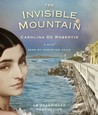 The Invisible Mountain cover