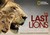 The Last Lions by Beverly Joubert