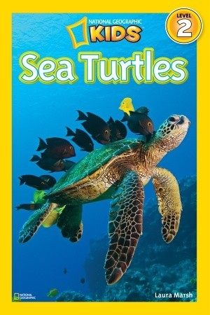 expository text