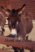 Honk The Donk by Rosemary J. Peel