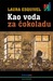 Kao voda za čokoladu by Laura Esquivel