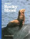 Along a Rocky Shore