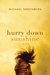 Hurry Down Sunshine A Father's Memoir of Love and Madness by Michael Greenberg