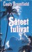 Sateet tulivat by Louis Bromfield