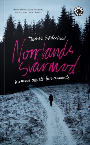 norrlands-svrmod-roman-om-ett-frsvinnande