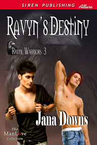 ravyn-s-destiny