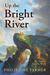 Up the Bright River by Philip José Farmer