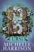 13 Curses (Thirteen Treasures, #2) by Michelle Harrison