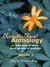 BestsellerBound Short Story Anthology - Volume 3 by Maria Savva